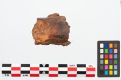 Foto von Eisenkonvolut (NHMW-PRAE-094301)